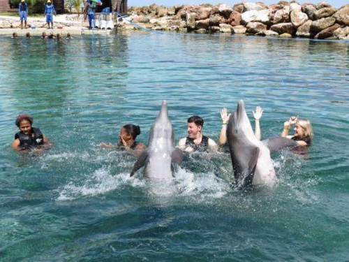 7 bedroom vacation home ocho rios